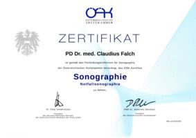 Falch - Zertfikat Sonographie_Notfall - Österreichische Ärztekammer - 2024.03.19.pdf